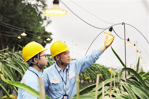 南寧全力打造優化電力營商環境示範區