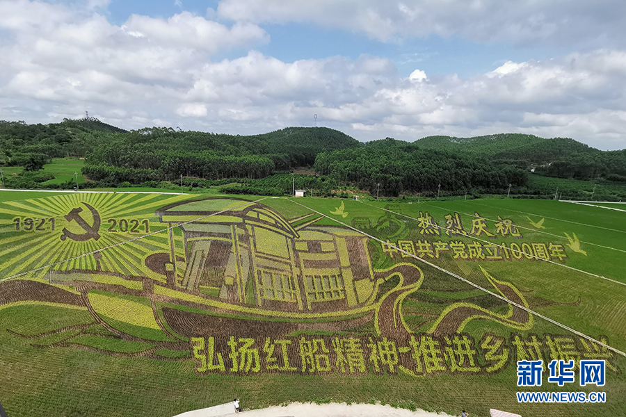 廣西賓陽：創意稻田畫帶動鄉村旅遊