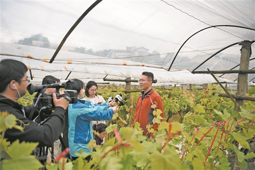 廣西毛竹山村的幸福蝶變