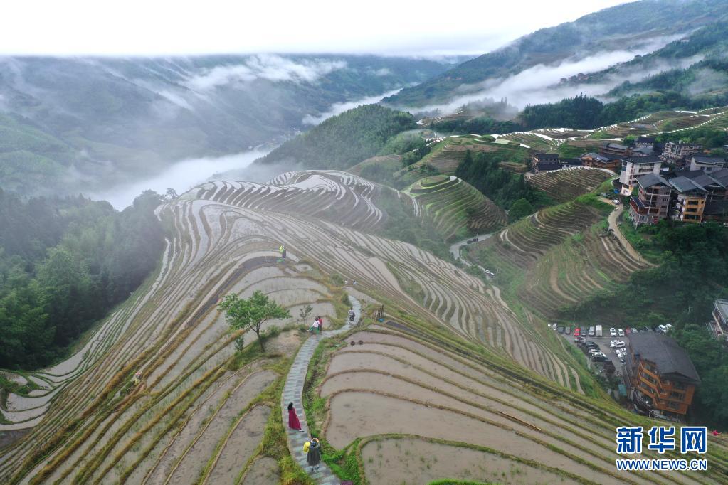 廣西龍勝：煙雨龍脊景色美