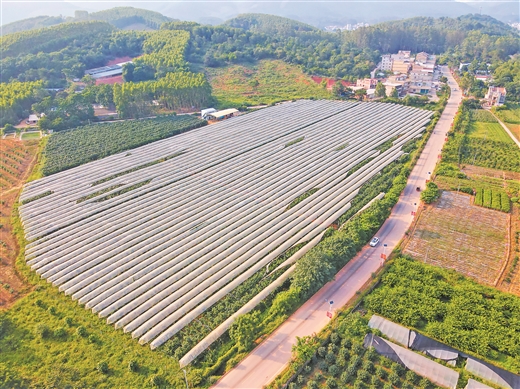 南寧市青秀區：青山秀水鄉村美