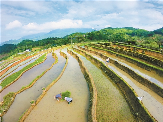 廣西融水：苗山農耕 賡續千年