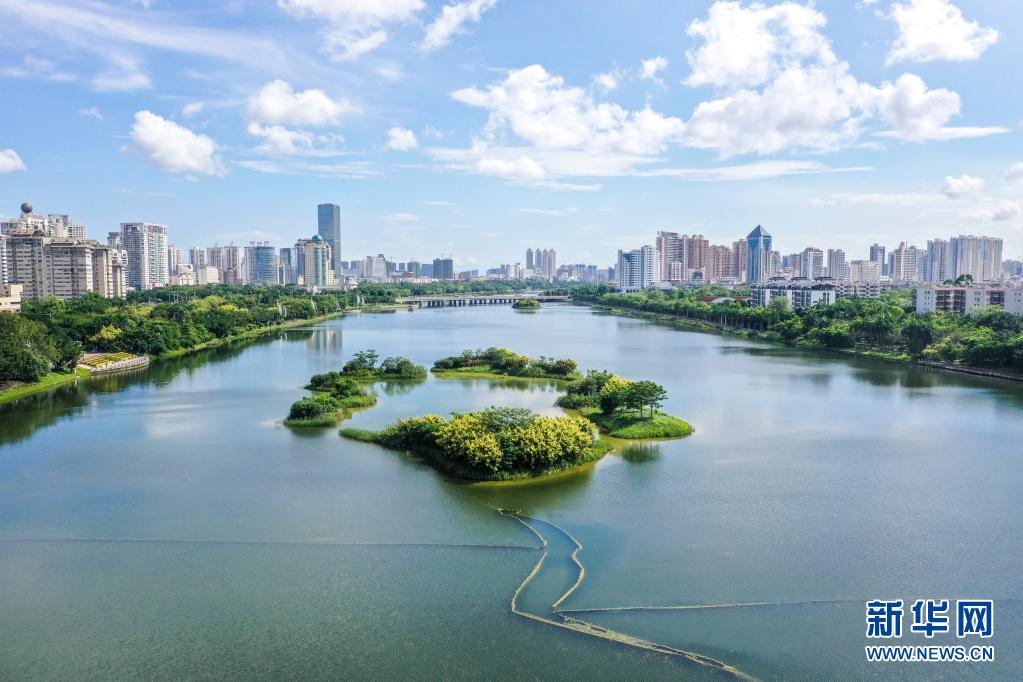 南寧：雨後城市濕地美