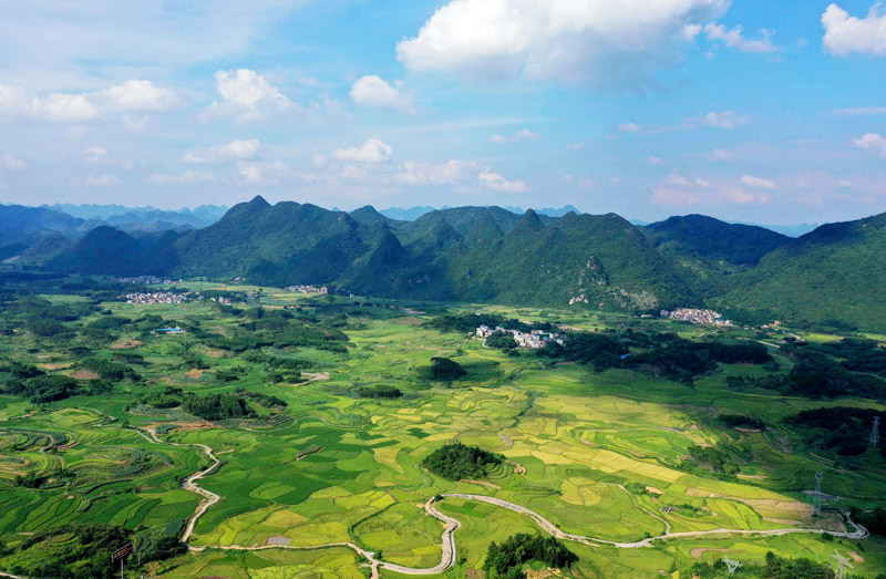 廣西融安：夏日田園美