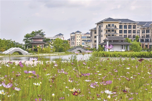 廣西合浦：繪就文旅新畫卷 豪情滿懷迎盛會