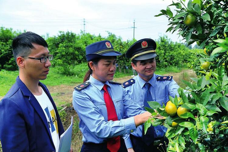 科學監管築防線 提升品質促發展——南寧市積極推動地方特色食品品質安全和産業發展