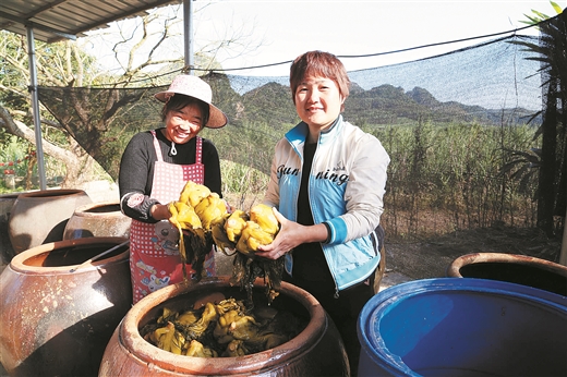 崇左保安酸菜“漂洋過海”