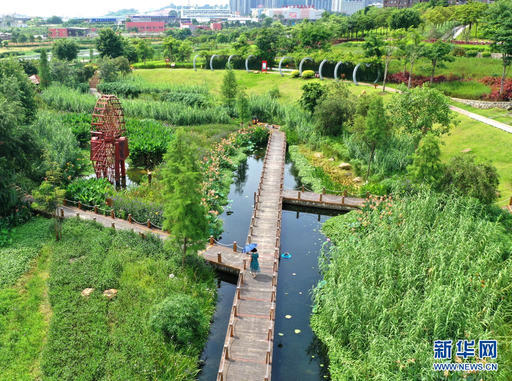 盛夏的南寧市那考河濕地公園