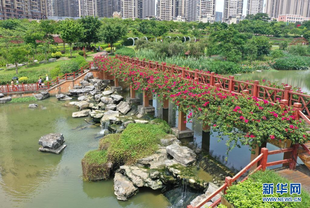 盛夏的南寧市那考河濕地公園