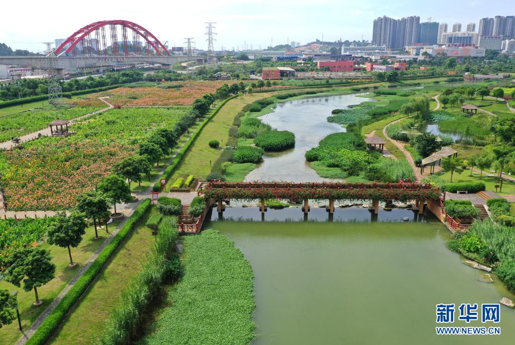 盛夏的南寧市那考河濕地公園