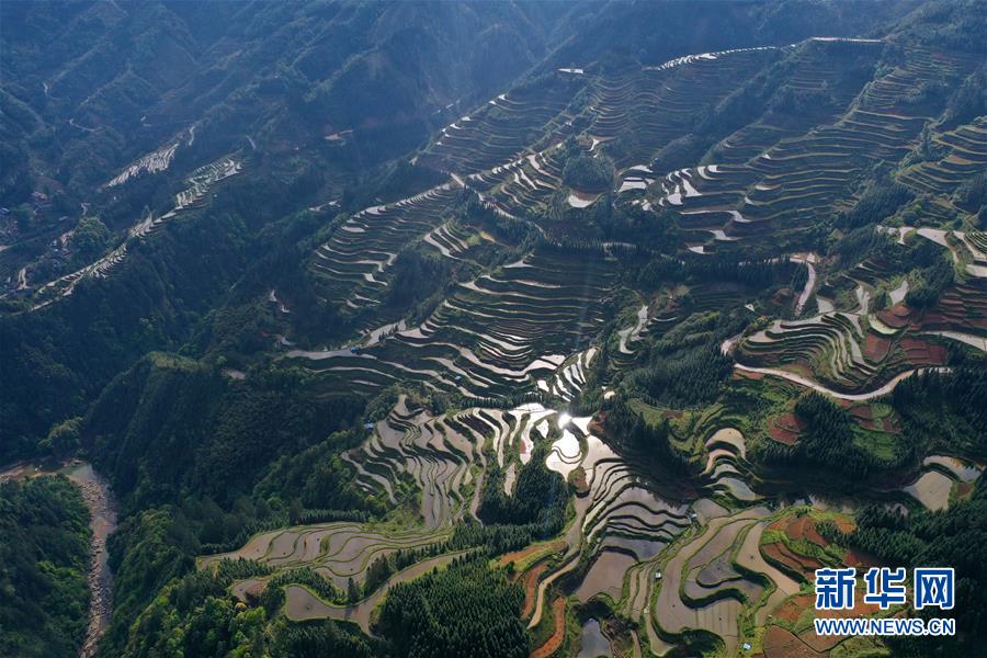 廣西融水：苗山梯田