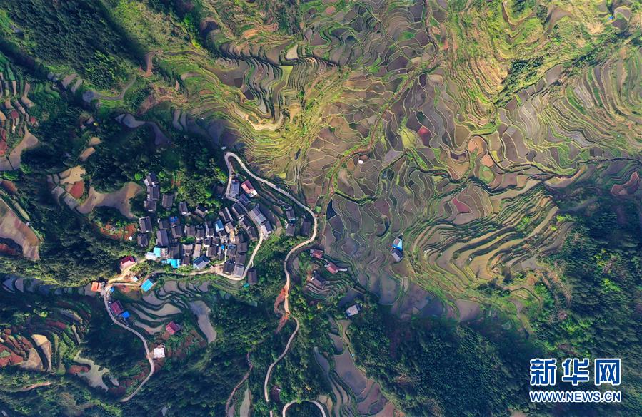 廣西融水：苗山梯田