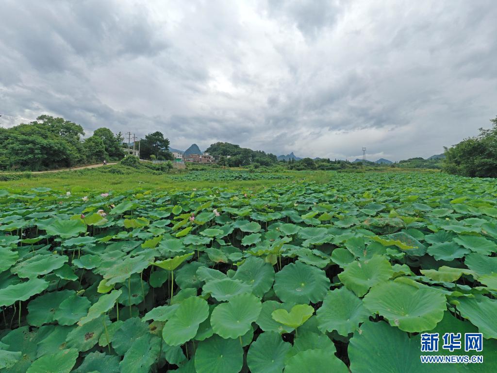 廣西恭城美麗鄉村