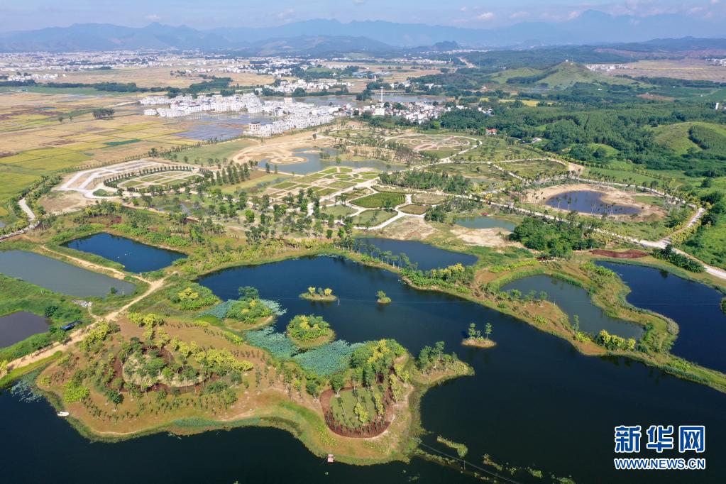 廣西賓陽：濕地公園生態美