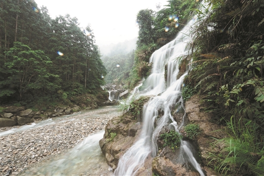 走進大苗山