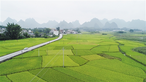 為貧困地區鋪就“致富路”