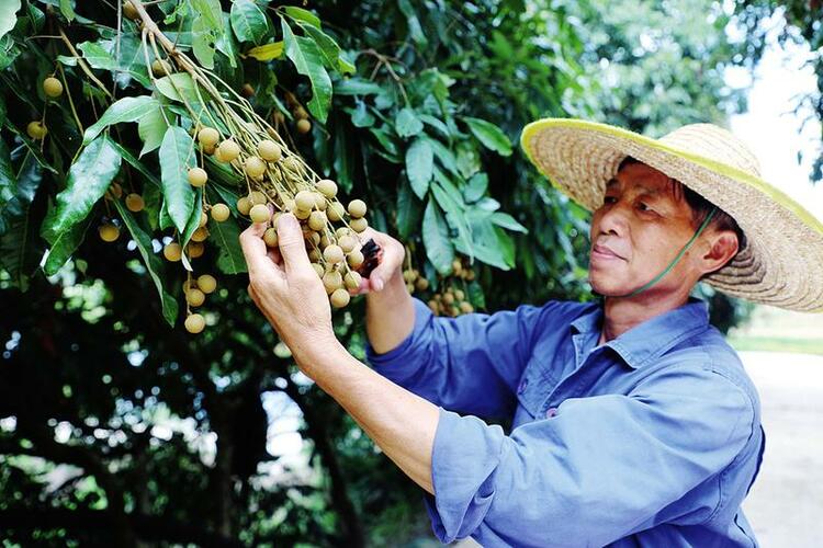 南寧市良慶區：接續奮鬥幸福生活