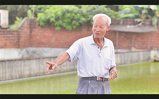 黃沙鱉成為廣西桂平市一張亮麗名片