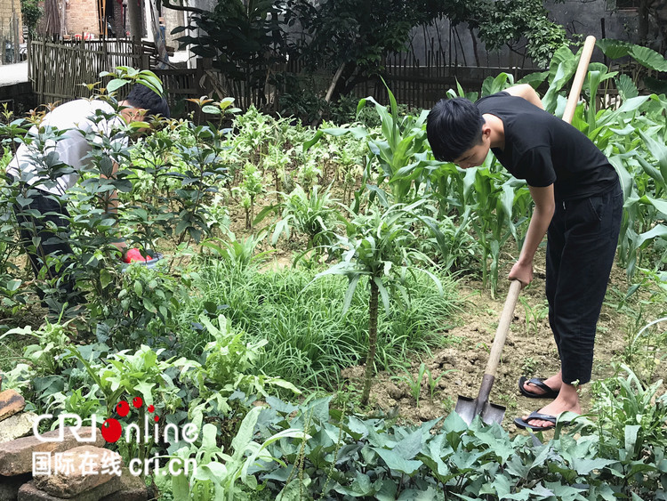 玉林市興業縣四新社區走訪見聞：給鄉親們一個精神煥發的“村莊”