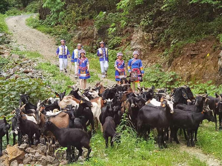 廣西馬山縣古棠村：“三個一”鑄好鄉村振興“形、實、魂”