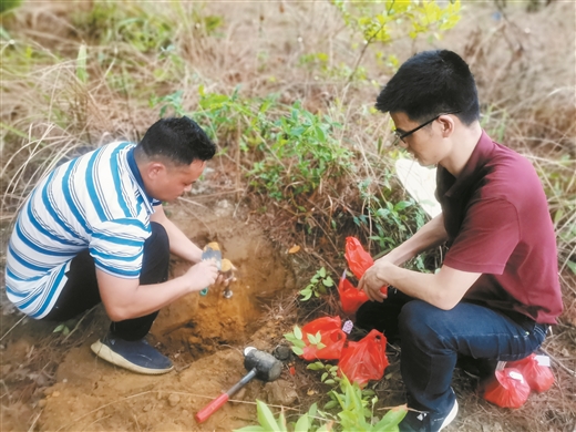 廣西搭建林業生産與科技創新精準對接之橋