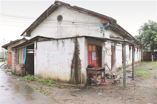 來賓象州：既要改變風貌 也要留住鄉愁