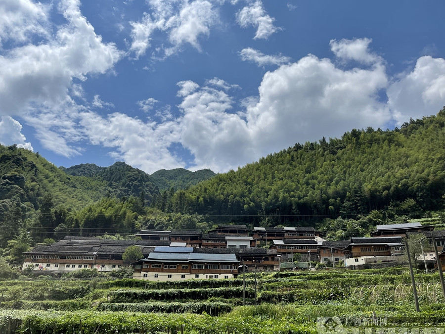 廣西桂林：農旅融合興産業 拓寬瑤鄉致富路