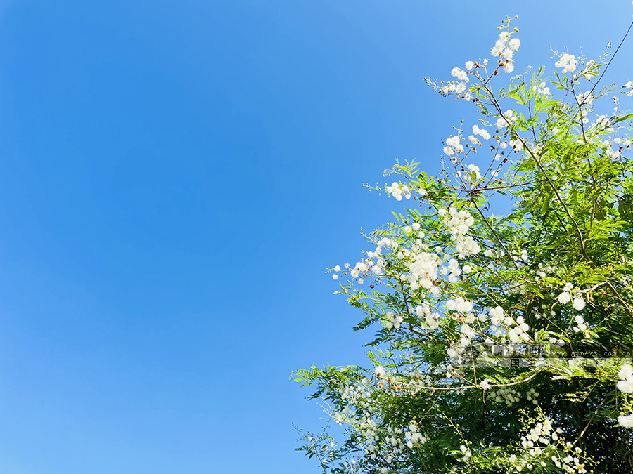 廣西天等縣若蘭水庫群山攬水 秋景如畫