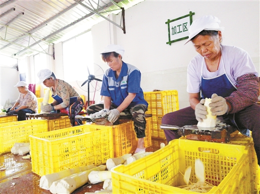 桂林：創建吸引全球的旅遊産品體系