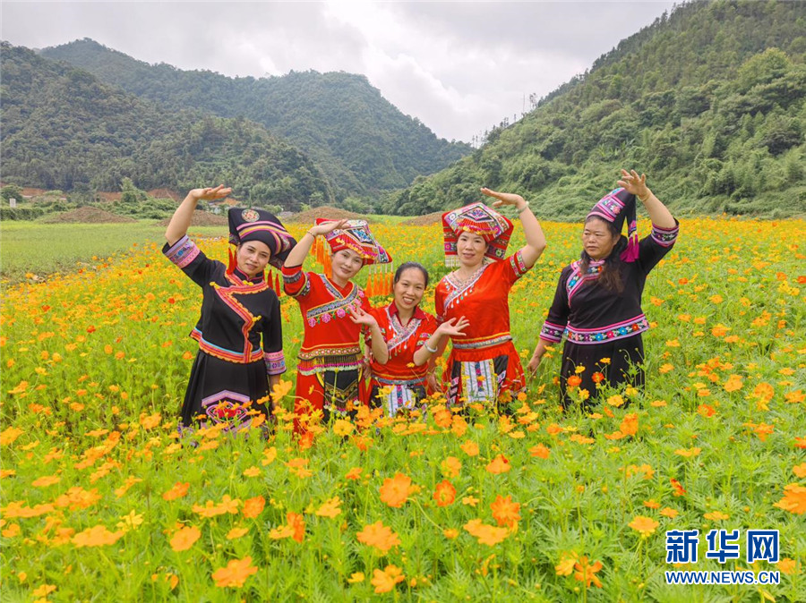 廣西百色：青山綠水間 金色花海醉遊人