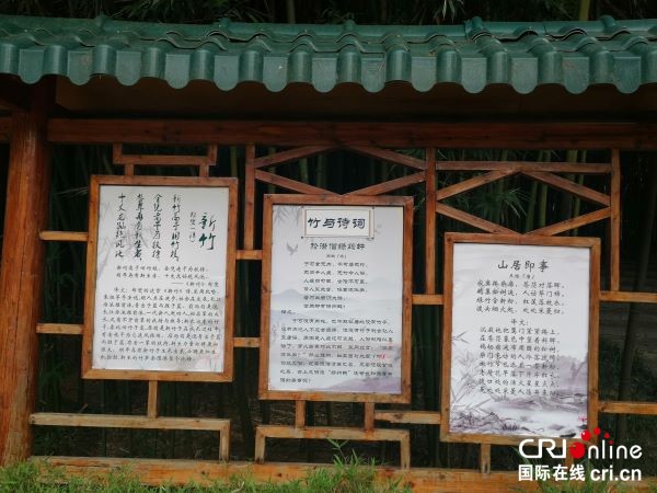 竹荷風韻 吹滿綠城  ——首屆竹荷文化節在南寧獅山公園舉行