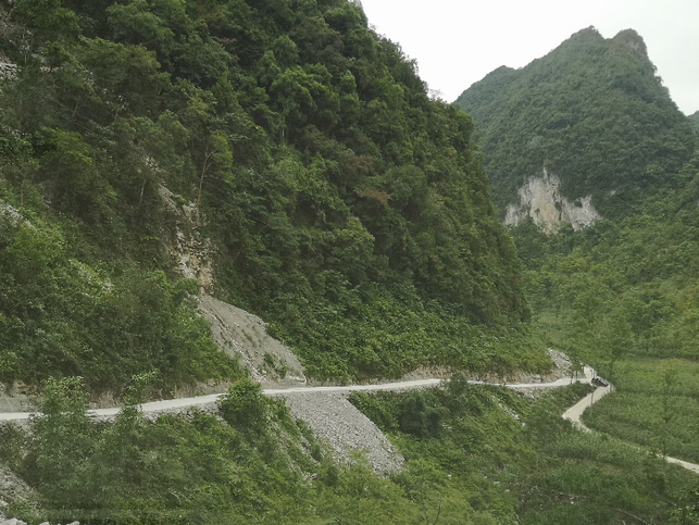 廣西淩雲縣：大石山區“毛細血管”暢通致富路