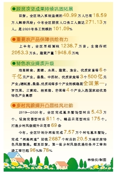 廣西高標準高品質推進鄉村振興初顯成效