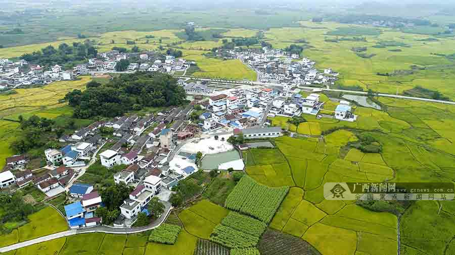 廣西柳城：仫佬山鄉田園如畫