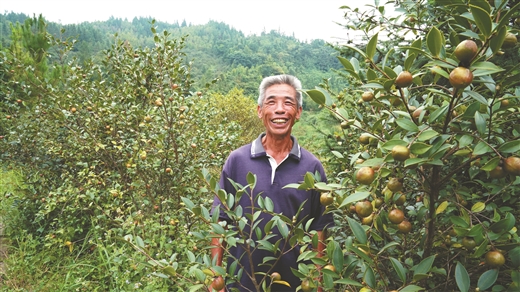 河池鳳山縣：脫貧攻堅迎巨變 鳳凰涅槃展新顏