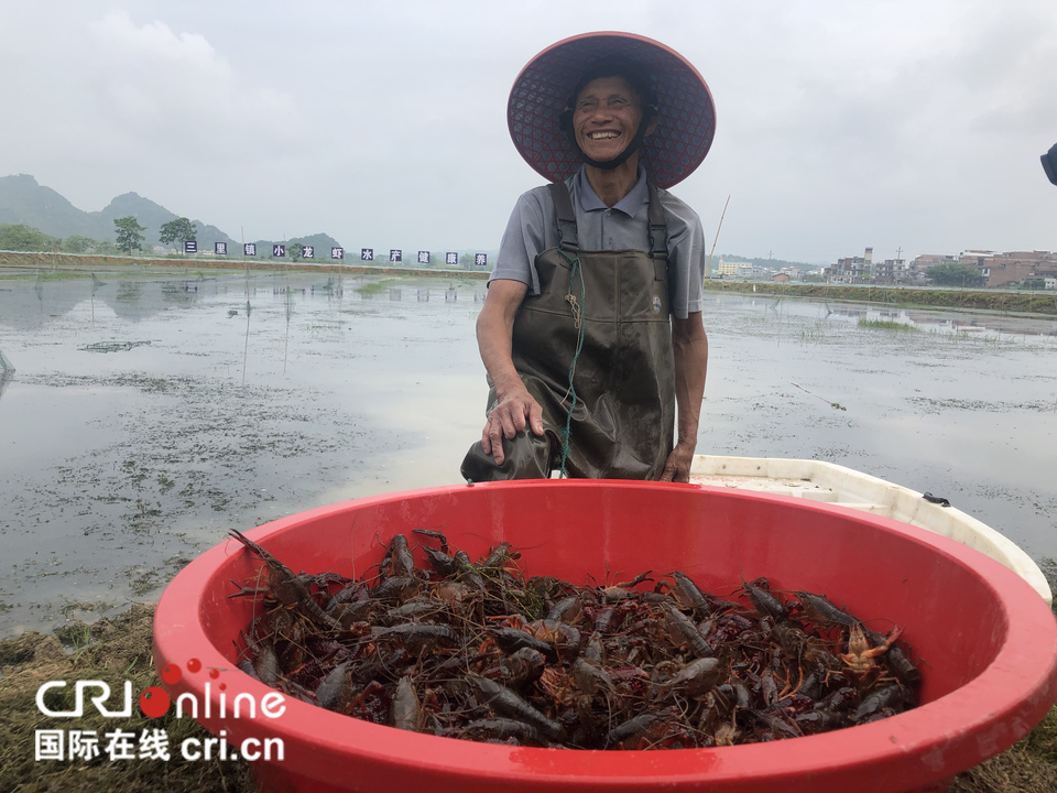 【A】2020年“中國旅遊日”南寧主會場暨上林生態旅遊養生節開幕