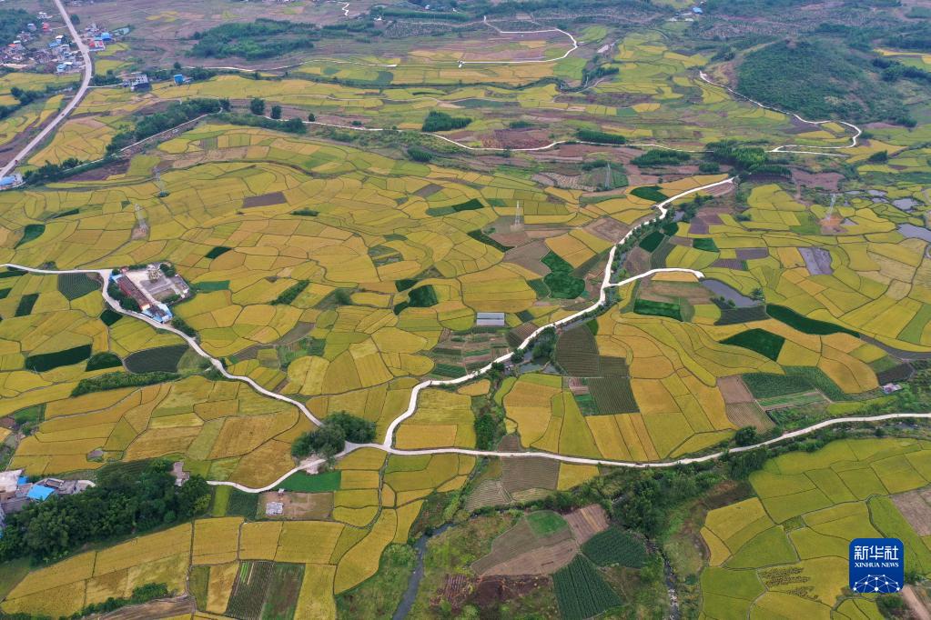 廣西：秋日田園美