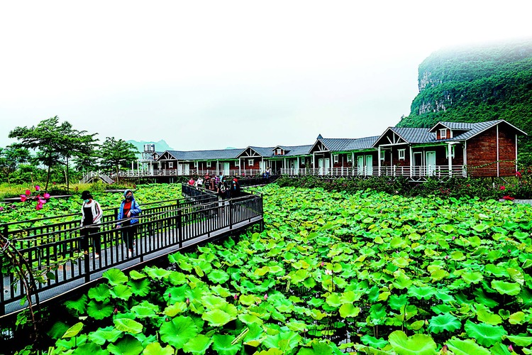 壯族老家上林生態旅遊大餐開席了