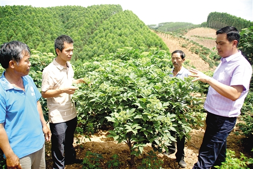 “我只想為農民兄弟做點事情”