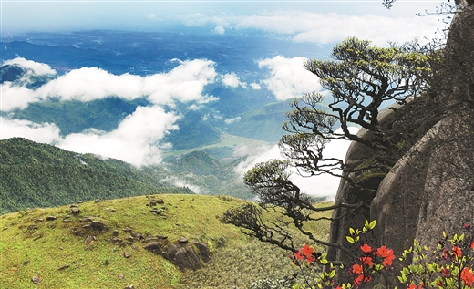 綠水青山如何喜變金山銀山——從五個觀察點看廣西生態旅遊發展