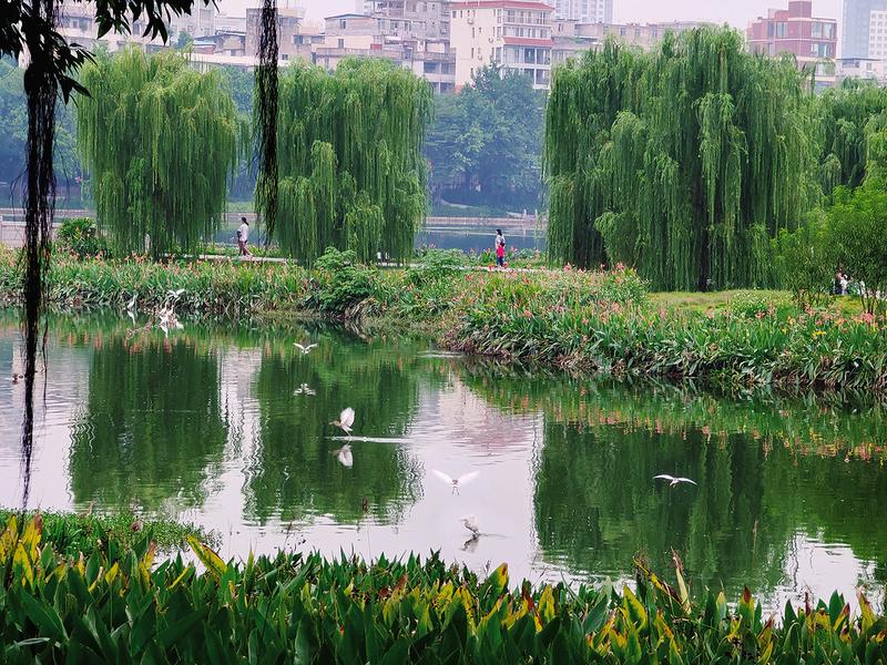 南寧：“水質”“氣質”提升 廢棄礦山變身生態公園