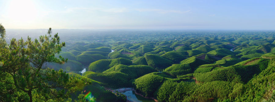 廣西南寧市良慶區：山清水秀生態美