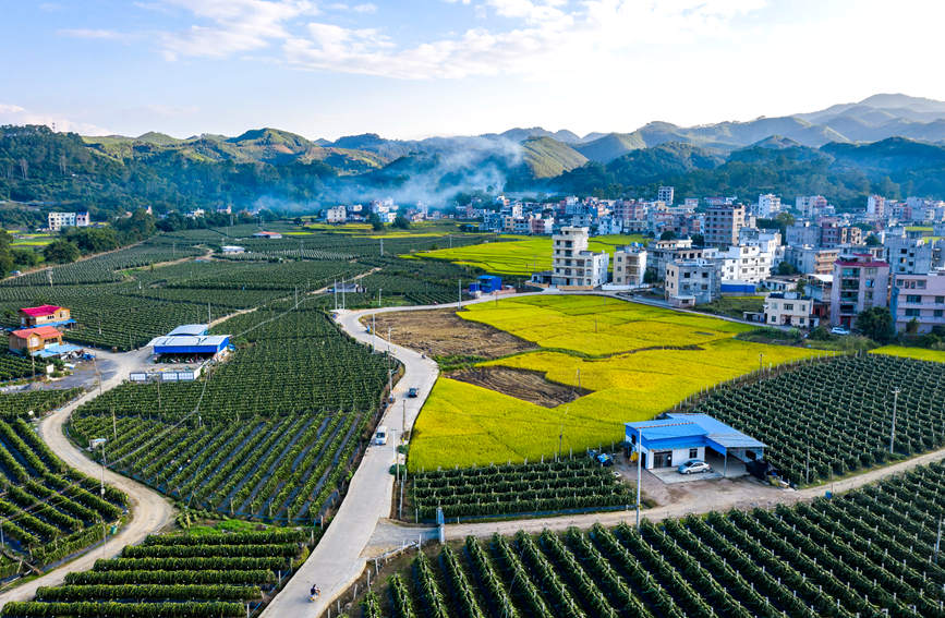 廣西岑溪：青山環抱鄉村如畫