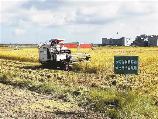 實現生態環保與鄉村振興共贏——南寧市大力推廣秸稈綜合利用技術成效突出