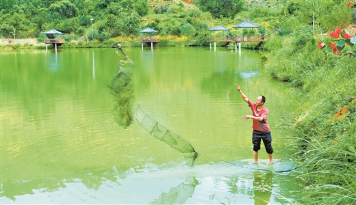 廣西岑溪：山青水碧産業旺