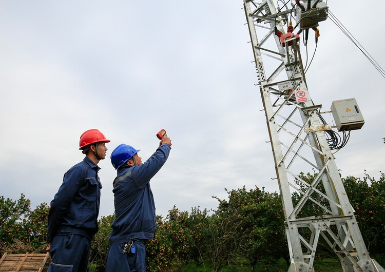 柳州柳城電力服務為“甜蜜事業”增添動能