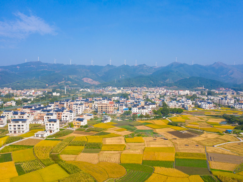 貴港市港北區：文旅入村 村美民富