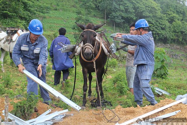 廣西隆林：掛牌督戰村電網建設首戰告捷