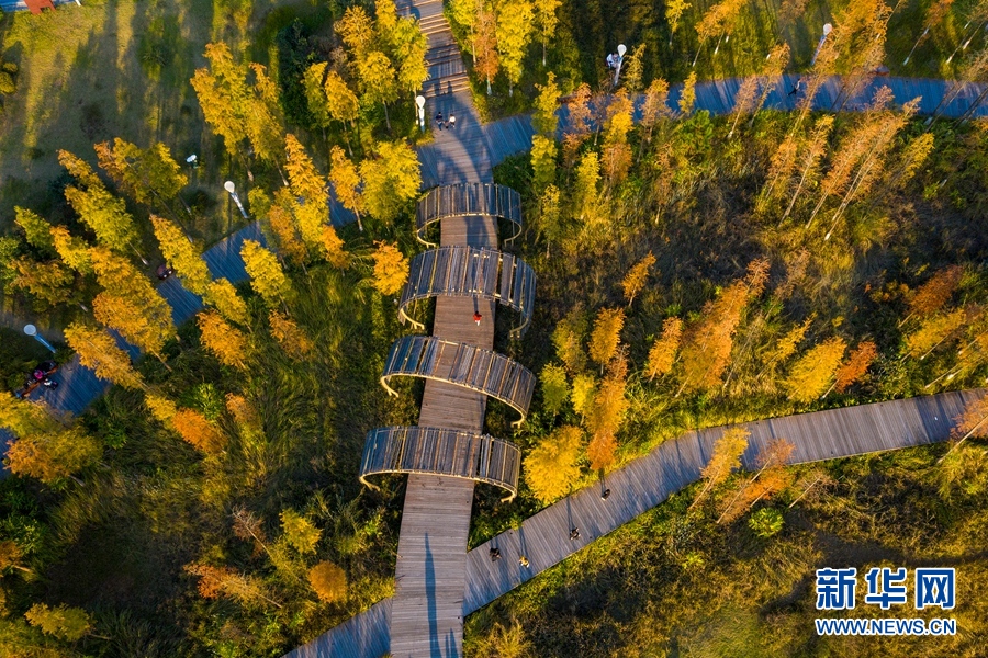 廣西梧州：蒼海濕地公園冬日景如畫