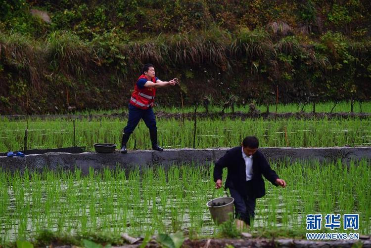 發展産業助脫貧